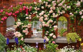 The charming and romantic beauty of a splendid rose garden